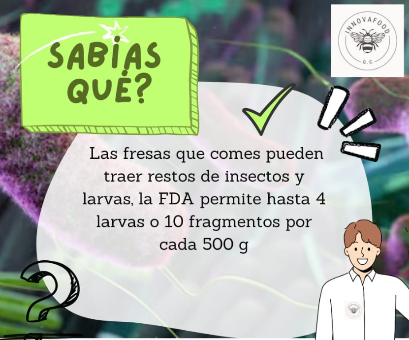 Sabías Que 3